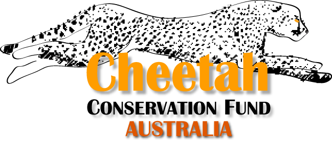 Cheetah Conservation Fund Australia
